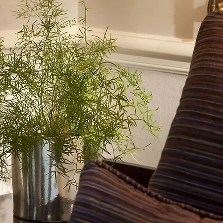 Pavillon Faubourg Saint-germain &