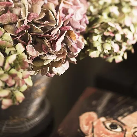 Pavillon Faubourg Saint-germain & 5*