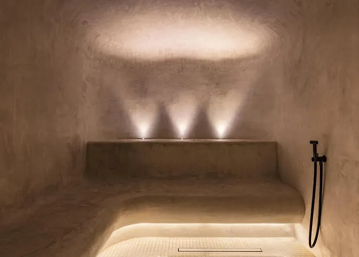 Hotel Pavillon Faubourg Saint-germain&spa Paris